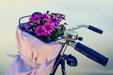 Flowers and Bike - flowers, bike, photo, nature