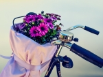 Flowers and Bike