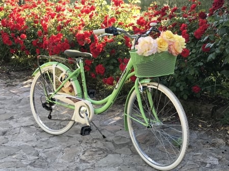 Bike - flowers, bike, photo, nature