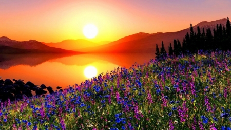 Sunset Reflection in the Lake - pine, mountains, meadow, flowers, sky, reflection, trees, sunset, nature