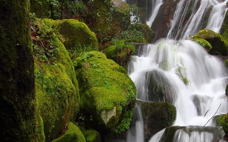 Wonderful Waterfall - nature, trees, mountains, moss, waterfall