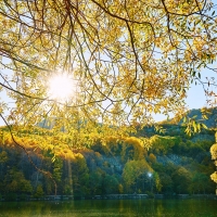 Sunshine Lake Yellow