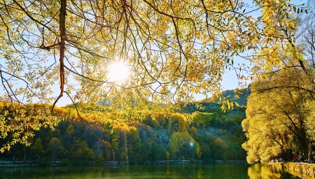 Sunshine Lake Yellow - branches, yellow, sunshine, lake, mountain, tree