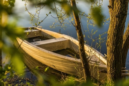 Beauty of Nature - Trees, Leaves, Spring, Lake, Boat