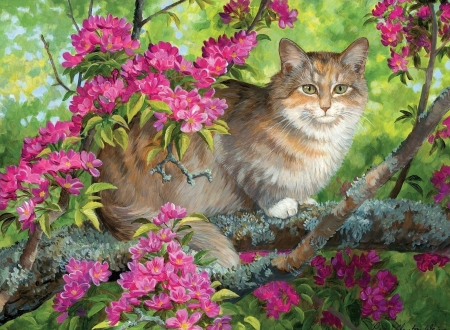 Cat - persis clayton weirs, cat, pisica, spring, painting, art, pink, blossom, animal, pictura, green, tree, flower