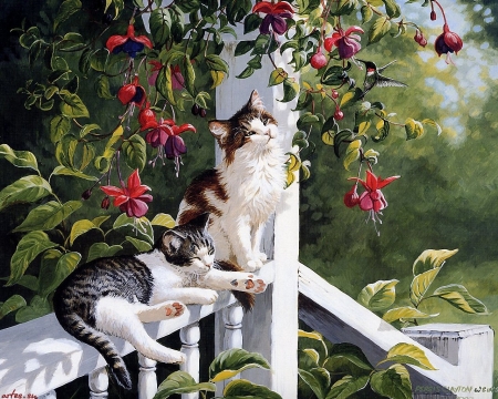 Cats - persis clayton weirs, summer, flower, cat, pictura, pisica, animal, red, painting, art