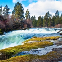 Stormy River Flows Through The Forest