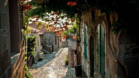 The Most Charming Places In France - village, flowers, bike, trees, nature, road, houses