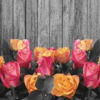 Rose Wood Background