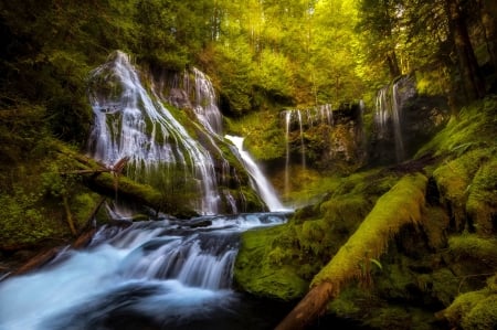 Forest waterfall - cascades, trees, waterfall, beautiful, forest