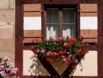 Window with Flowers