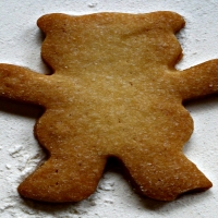 Gingerbread Bear Cookies