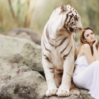 Giant white tiger and a girl