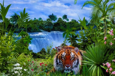 Exotic place - watwerfall, forest, tiger, cat, waterfall, jungle, exotic, place, wild