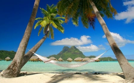 Resort in Bora Bora - nature, beach, palms, sea, resort, caribbean