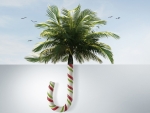 Tropical Christmas