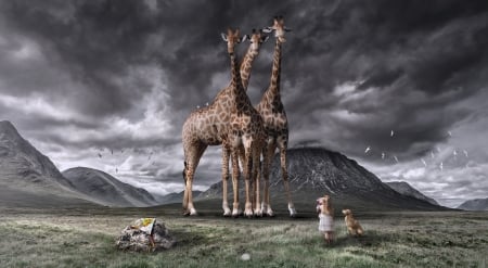 Interaction - animal, child, copil, creative, fantasy, giraffe, little girl