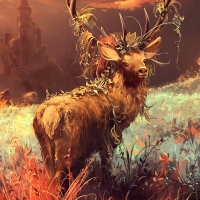 Deer