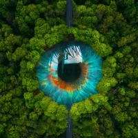 Eye of nature