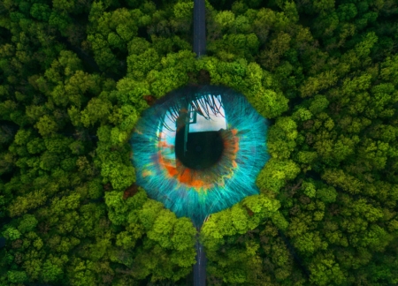 Eye of nature - view from the top, nature, blue, paulo bert, green, eye