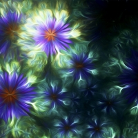 Abstract flowers