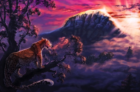 Sunrise - leopard, animal, fantasy, pink, arven92, blue, art