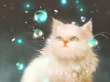 Kitten - cat, pisica, bubble, kitten, white, luminos, blue, fantay, aramisdream