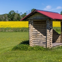 Log Hut and Rapeseed