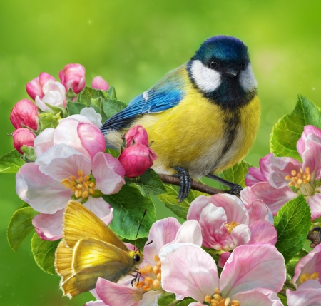 Blue tit - pitigoi, blue tit, fantasy, pasare, spring, bird, art, yellow, pink, luminos, green, flower, alenaekaterinburg