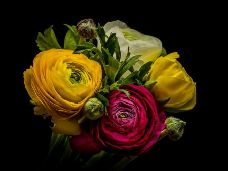 Lovely Bouquet - buttercup, flowers, nature, bouquet, ranunculus