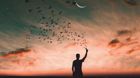 ♥ - moon, bird, silhouette, creative, pink, man, fantasy, sunset, diego ph, luminos, sky, luna