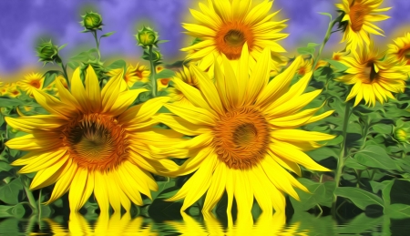 Fall in love - Sunflowers, Water, Yellow, Graphic