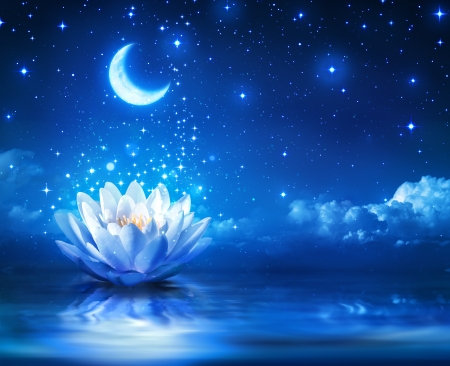 Flower and Moon - Fantasy & Abstract Background Wallpapers on ...