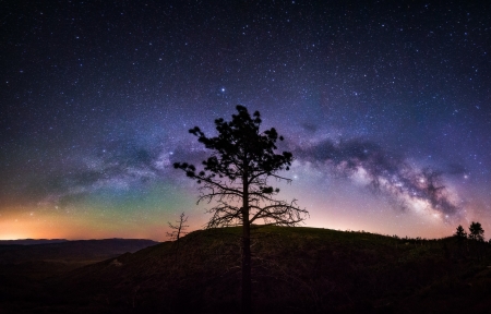 Wonderful Milky Way - milkt way, sky, tree, planet