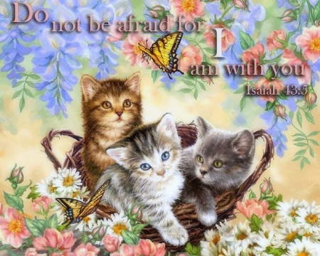 I am with you - kittens, animals, summer, basket, spring, love four seasons, cats, paintings, flowers, butterfly designs, butterflies