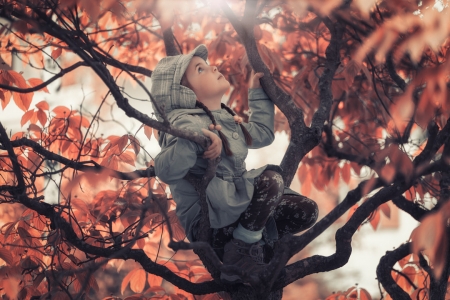 In the tree - autumn, girl, hat, child, leaf, copil, john wilhelm, orange, tree