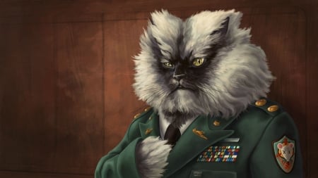 El General - fantasy, pisica, general, art, cat