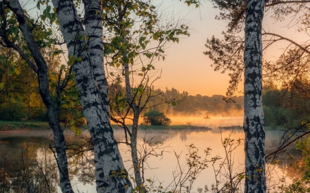 Birches by River in Latvia - Latvia, river, nature, twilight, mist, birches