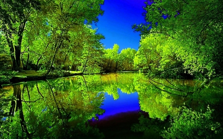 Water Reflection - nature, sky, lake, trees, forest, reflection, blue, water