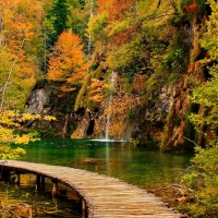 Log Bridge in Plitvice Lake