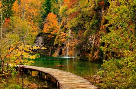 Log Bridge in Plitvice Lake - trees, log, nature, waterfall, autumn, lake, bridge, park, croatia