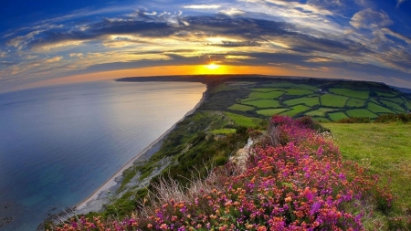 Beach Sunset - flowers, sunset, nature, beach, lights, sea, grass, pink