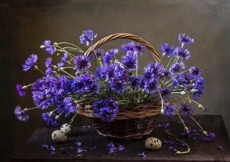 Still life - purple, basket, still life, flower