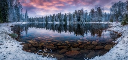 Crispy Winter Morning - lake, trees, water, winter, snow lake, cold lake, rocks, cold, snow, crispy winter morning