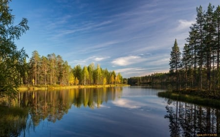 Calm Lake - lake, forest, reflection, landscape, nature, calm