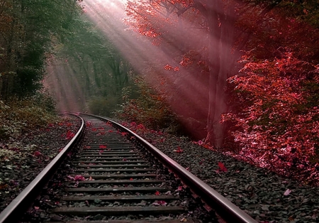 Railways at Autumn - sunrays, rails, trees, leaves