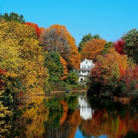 White House Among the Fall Trees