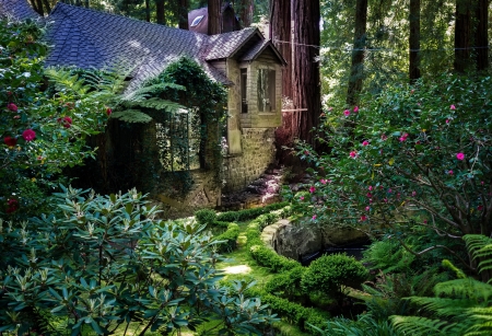 The Cabin In The Woods - house, trees, ferns, nature, cabin, garden, landscape, forest