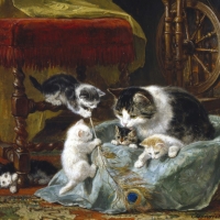 A family of cats