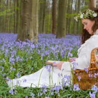 Bluebells With Vintage Woman